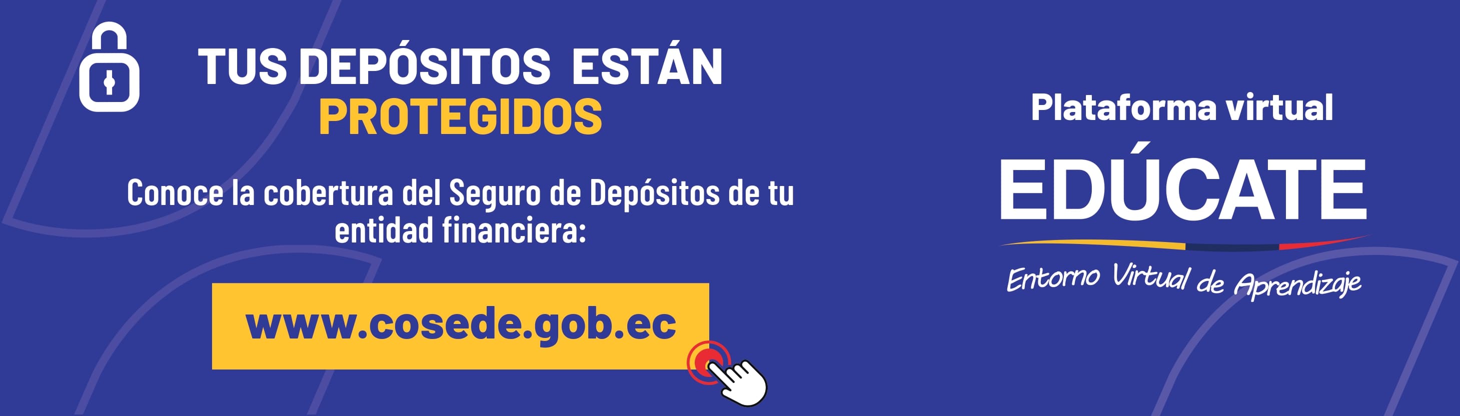 Información Cooperativa Cañar Ltda. 9